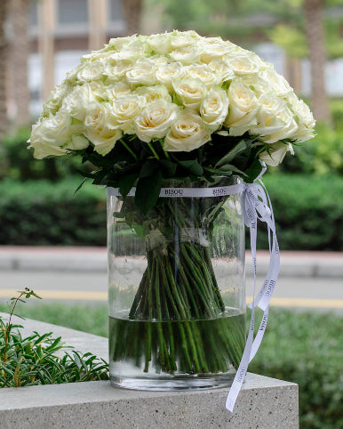 Occasion