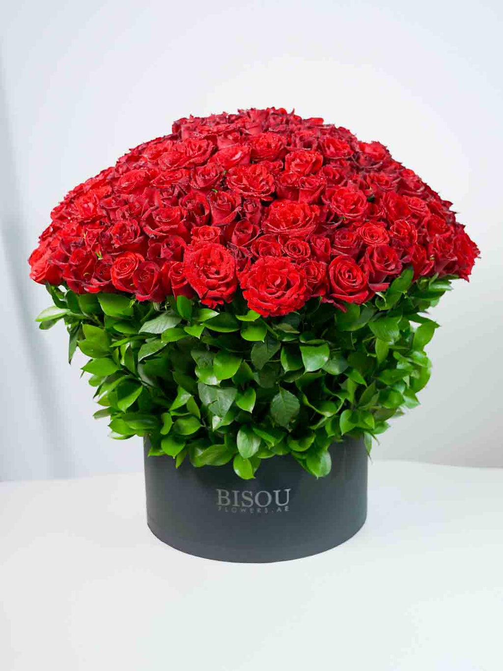 Grand Scarlet Rose Dome