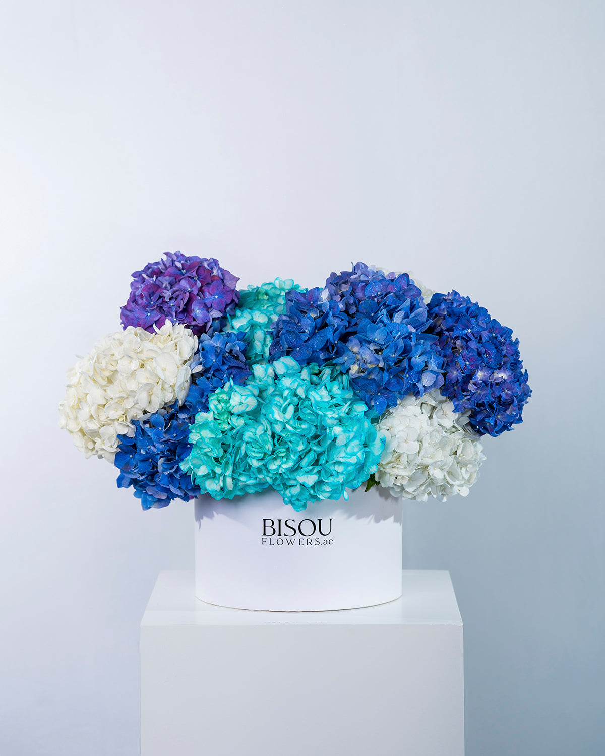 Midnight hydrangea luxe