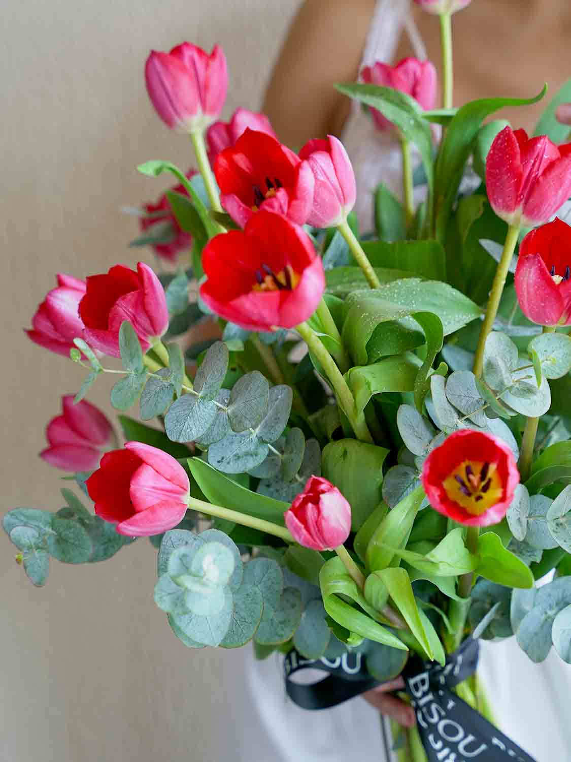 Blushing Tulip Delight