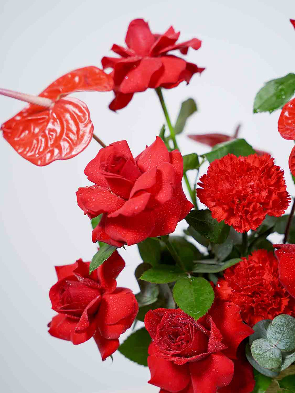 Red Elegance in Gold