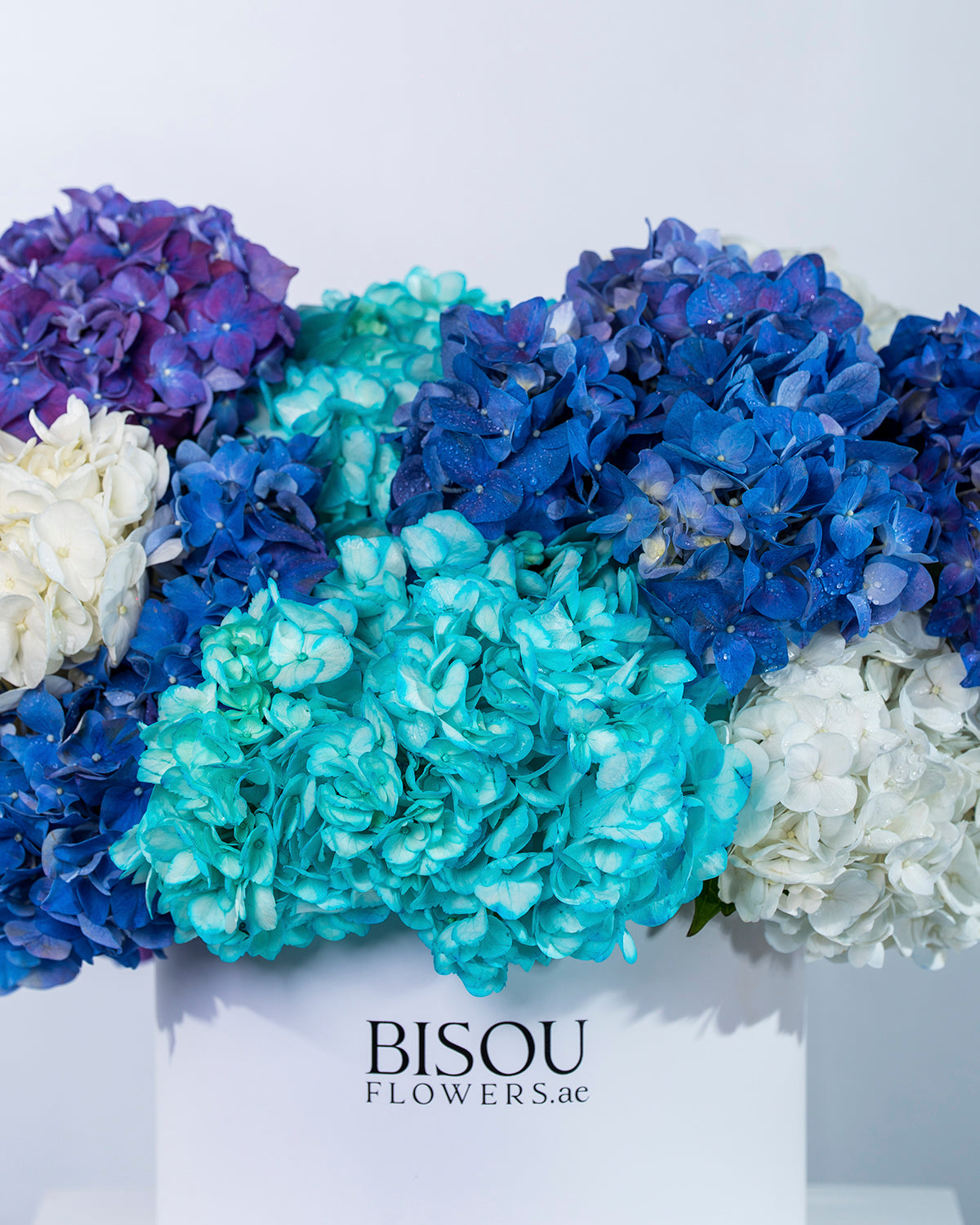 Midnight hydrangea luxe
