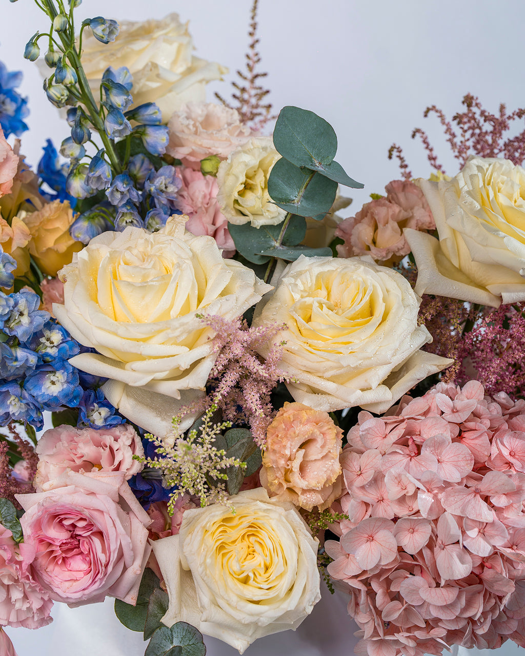 Blush Candy Bloom