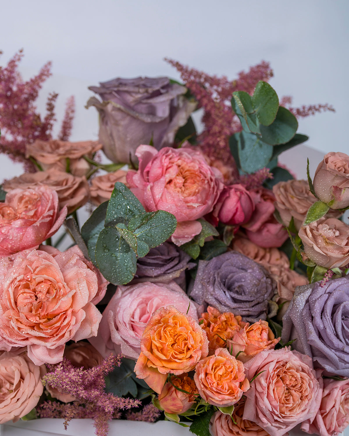 Blush Royal Luxe