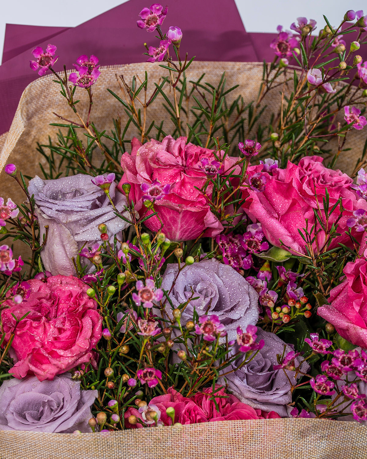 Blush Violet Garden