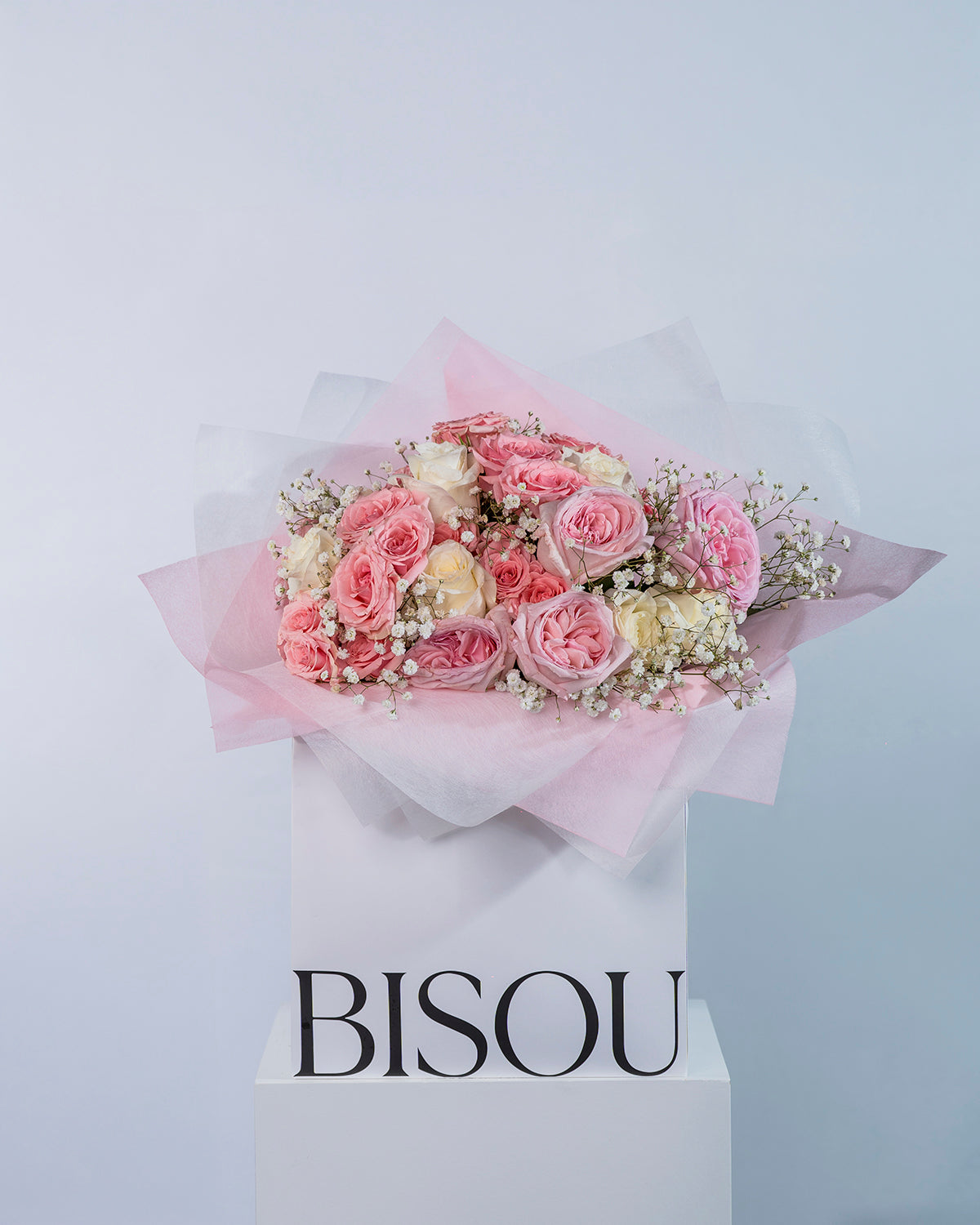 Rose Elegance