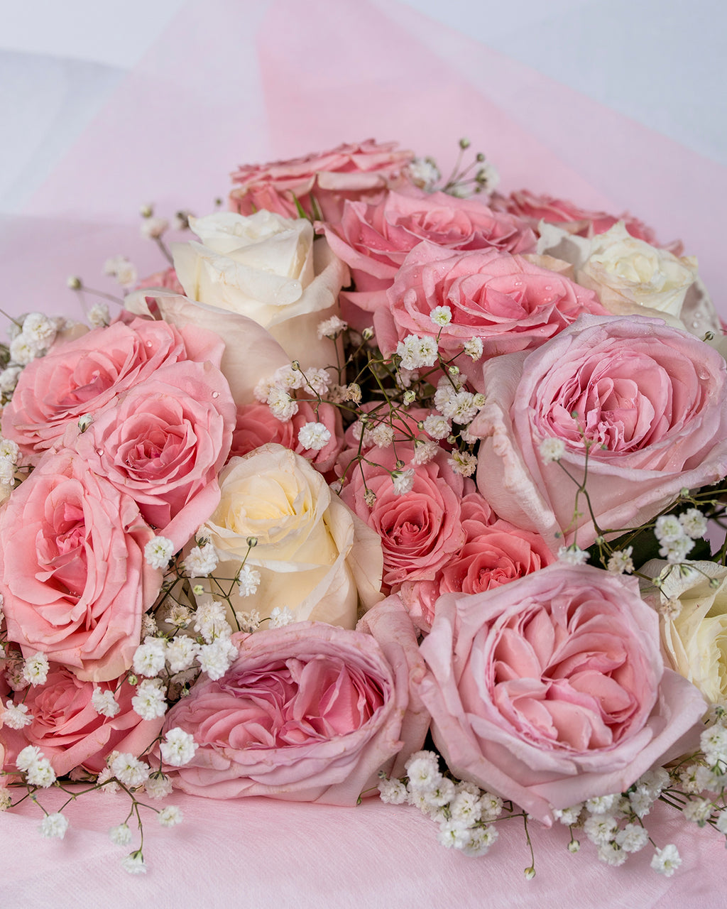 Rose Elegance