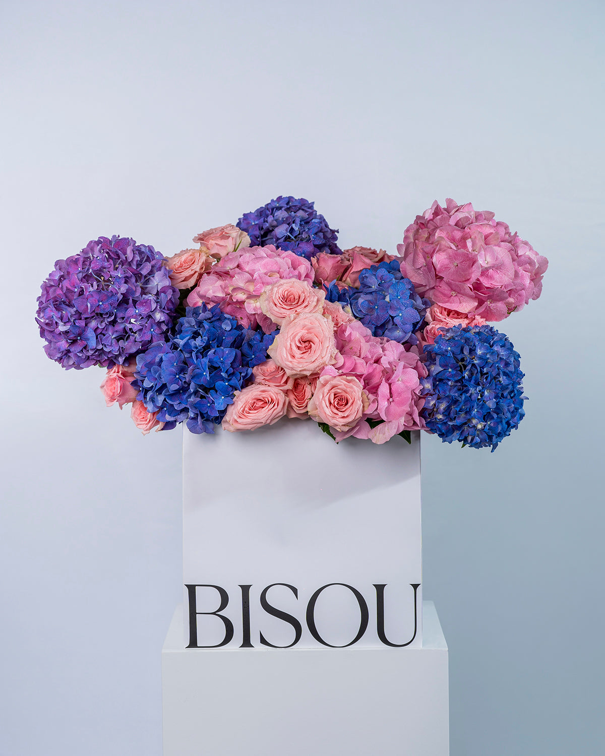 Celestial Hydrangea