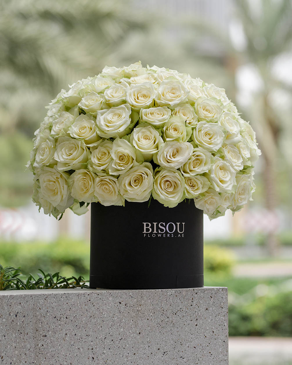 luxury drum box of roses