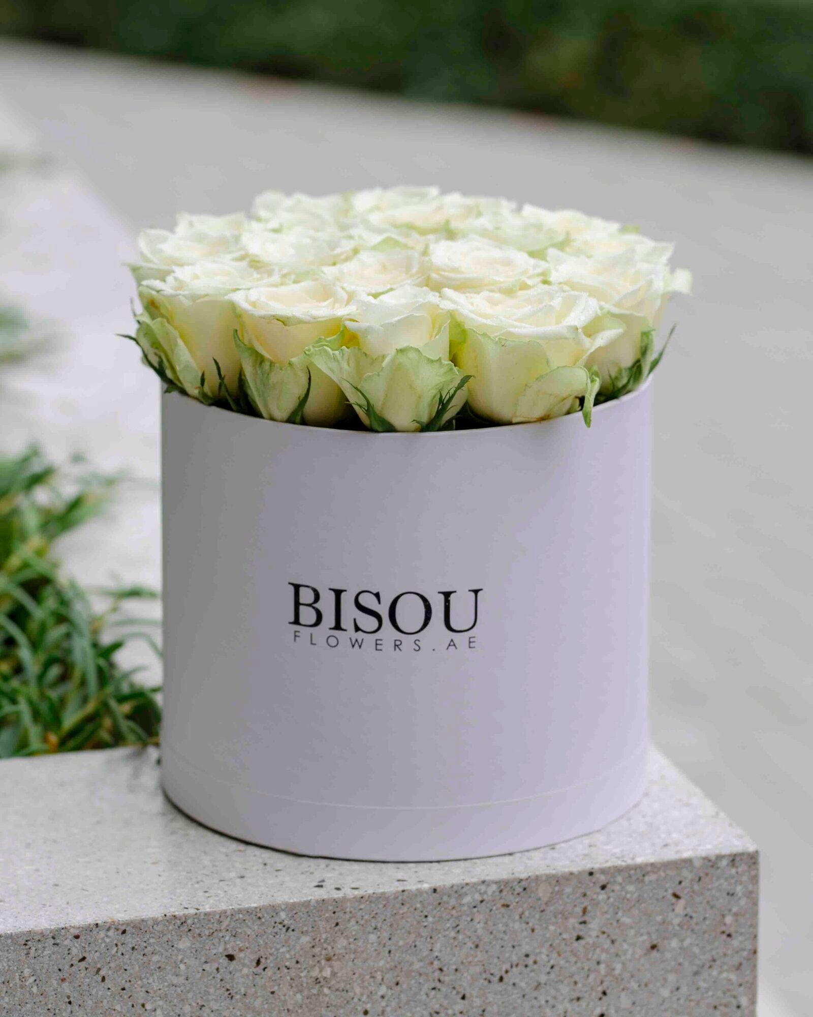 Amore-small white roses arrangement