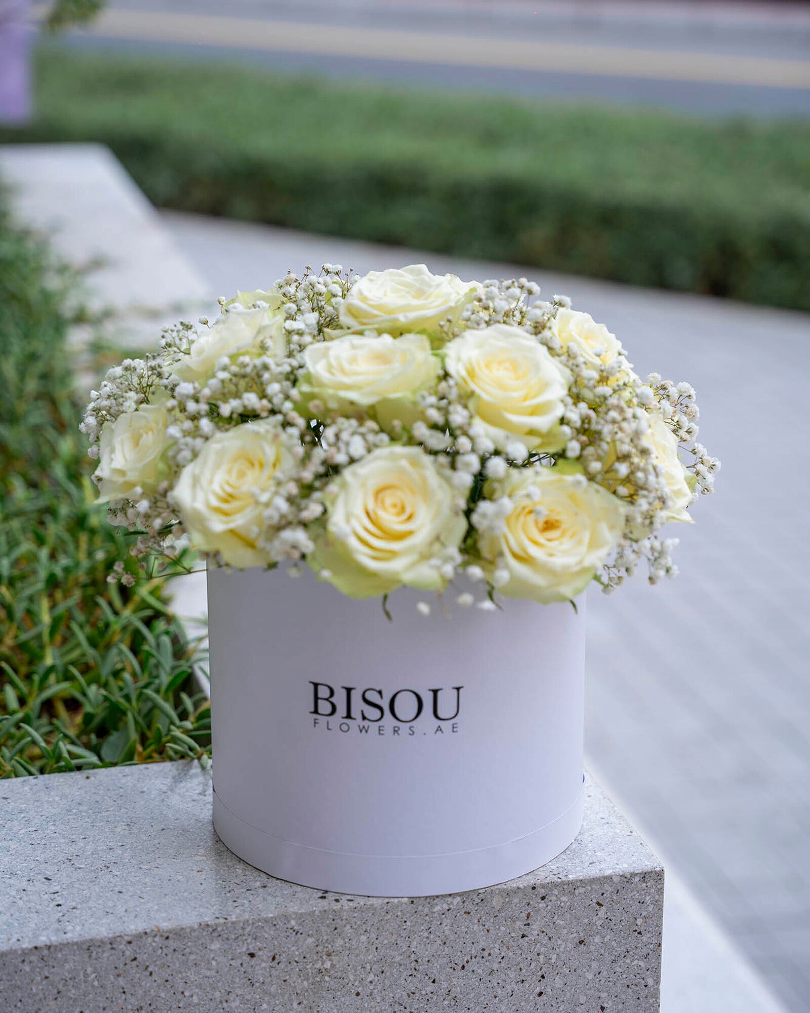 Baby Amore 15 roses and gypsophila flowers
