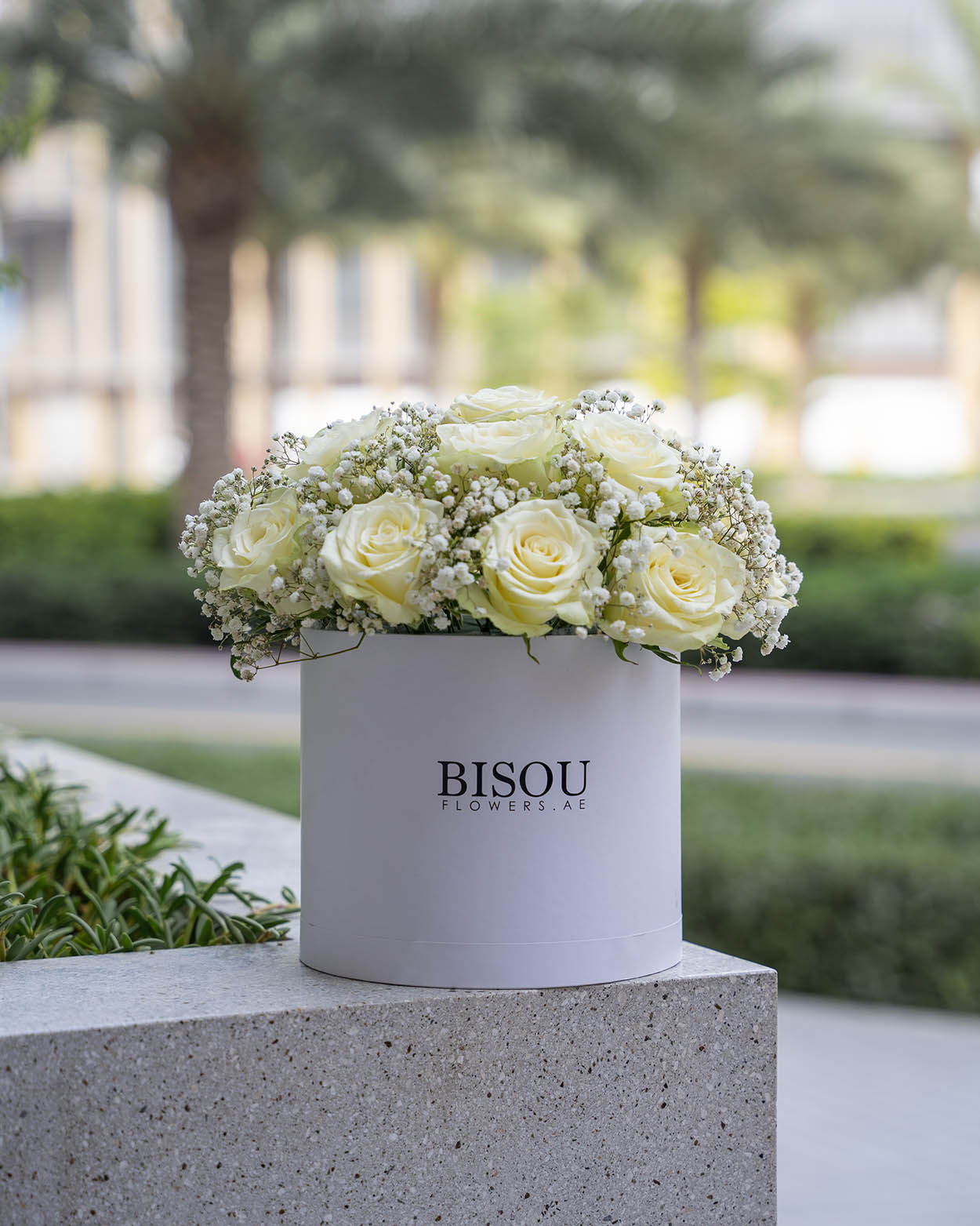 Baby Amore 15 roses and gypsophila flower Arrangement