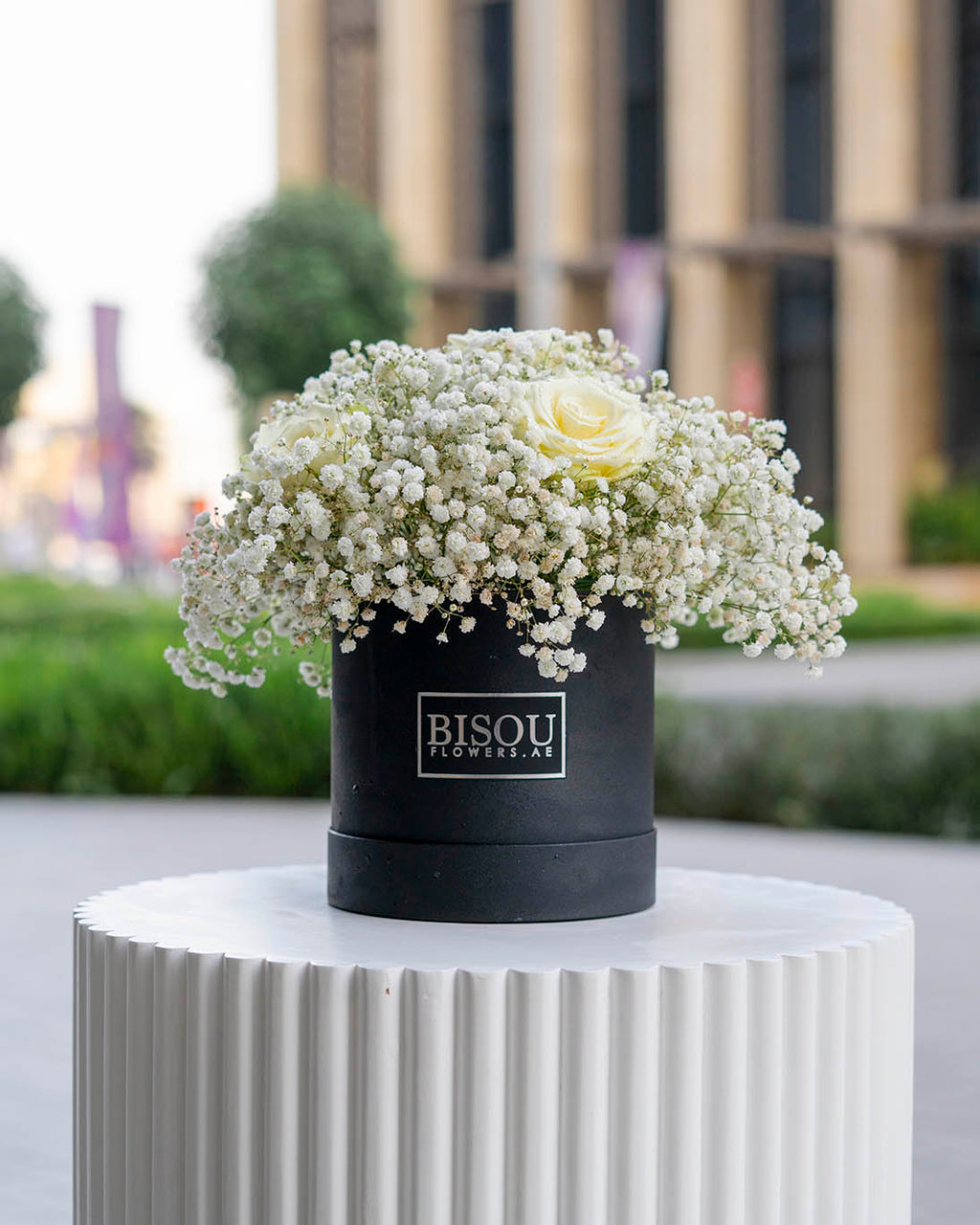 Baby rose bouquet contains 5 roses and 5 Gypsophila