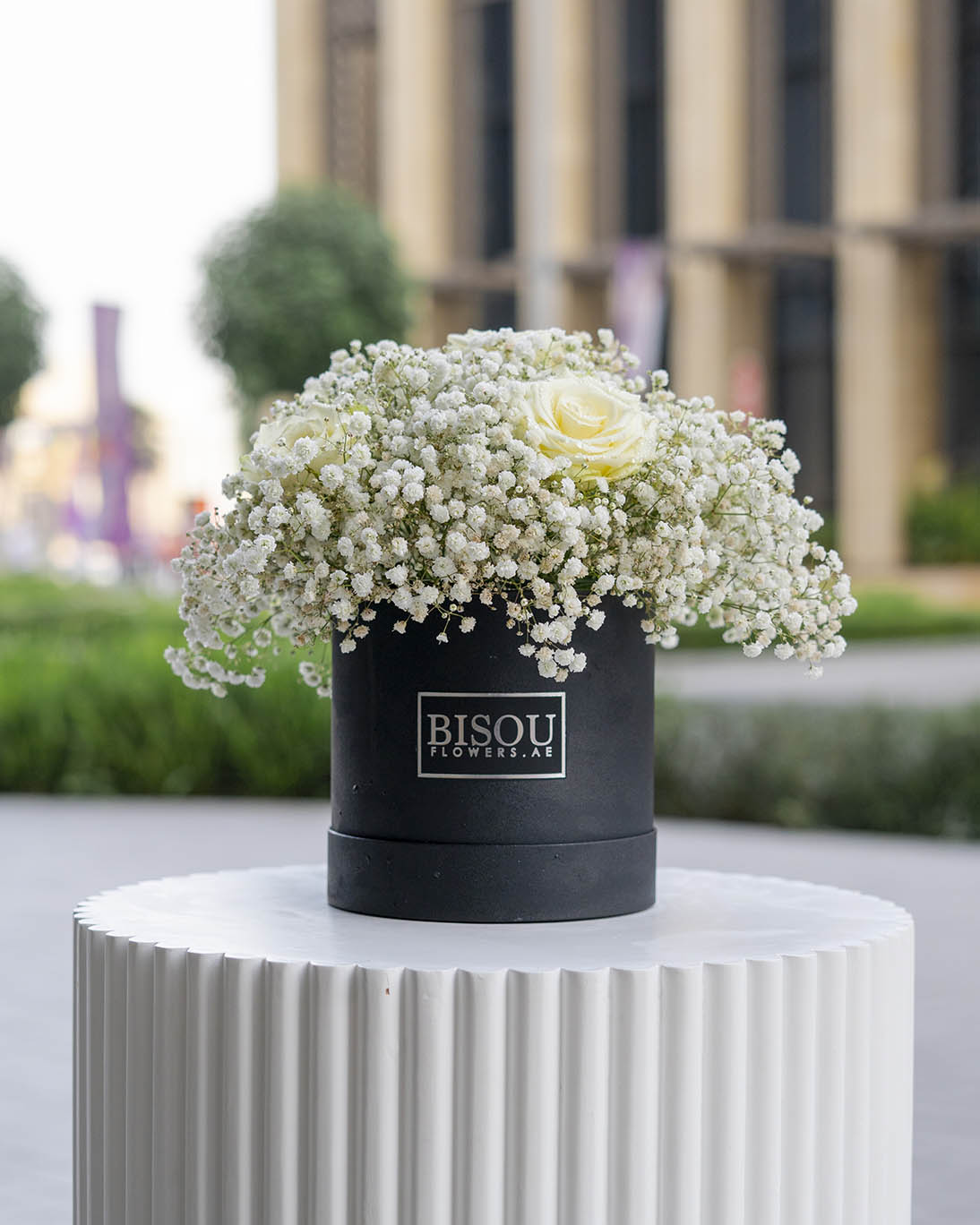 Baby rose bouquet contains 5 roses and 5 Gypsophila