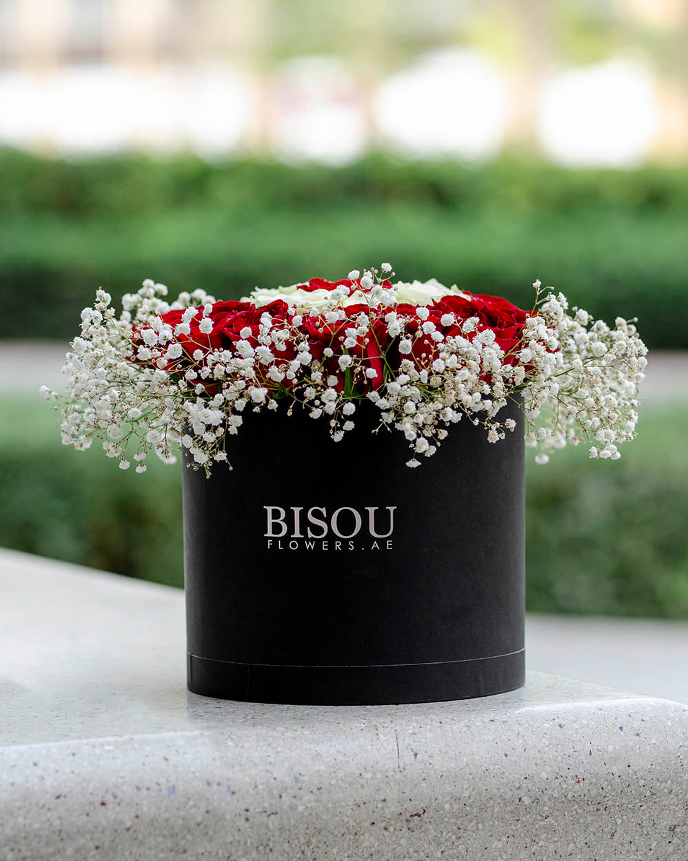 baby rough 21 roses and gypsophila arranged in a drum box