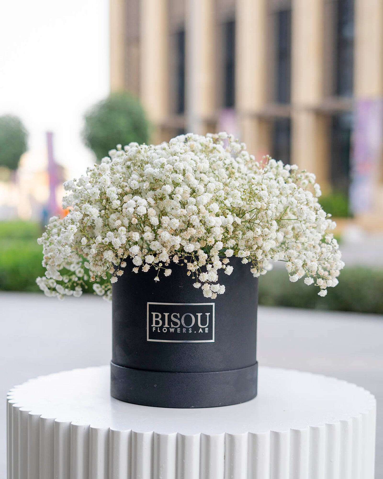 Baby flower drum box arrangement