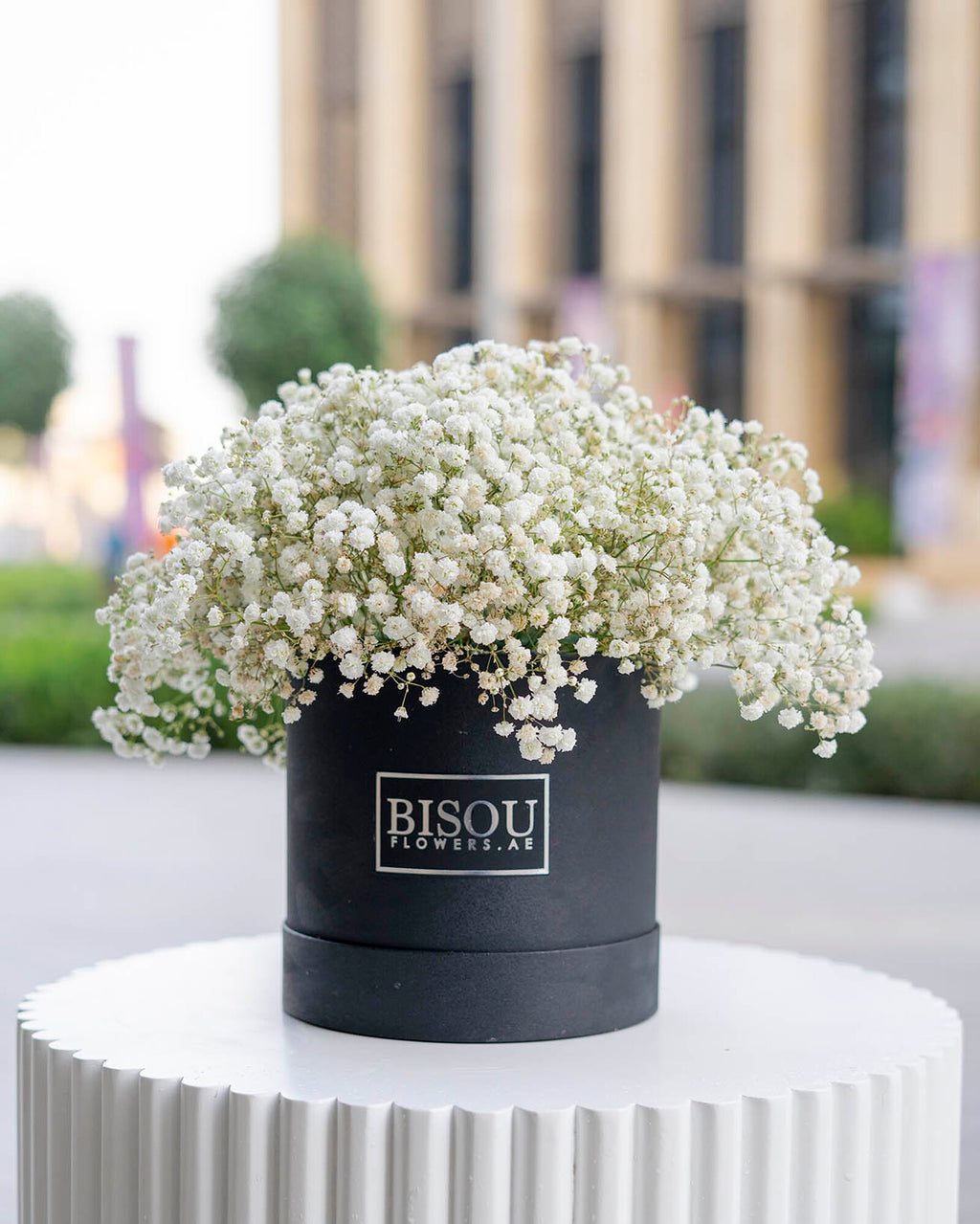 Baby flower drum box arrangement