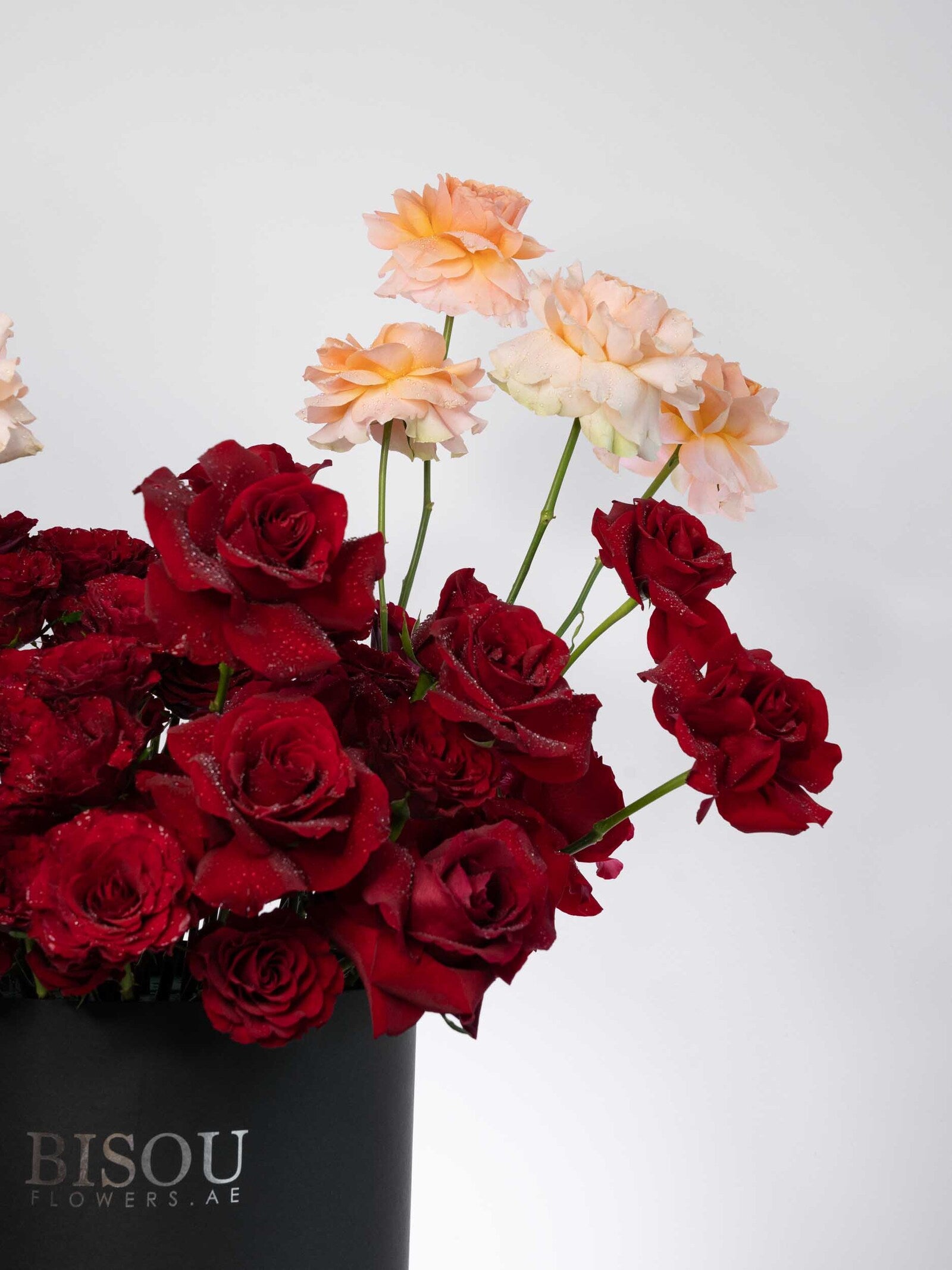 serenade of roses arranged in a drum box