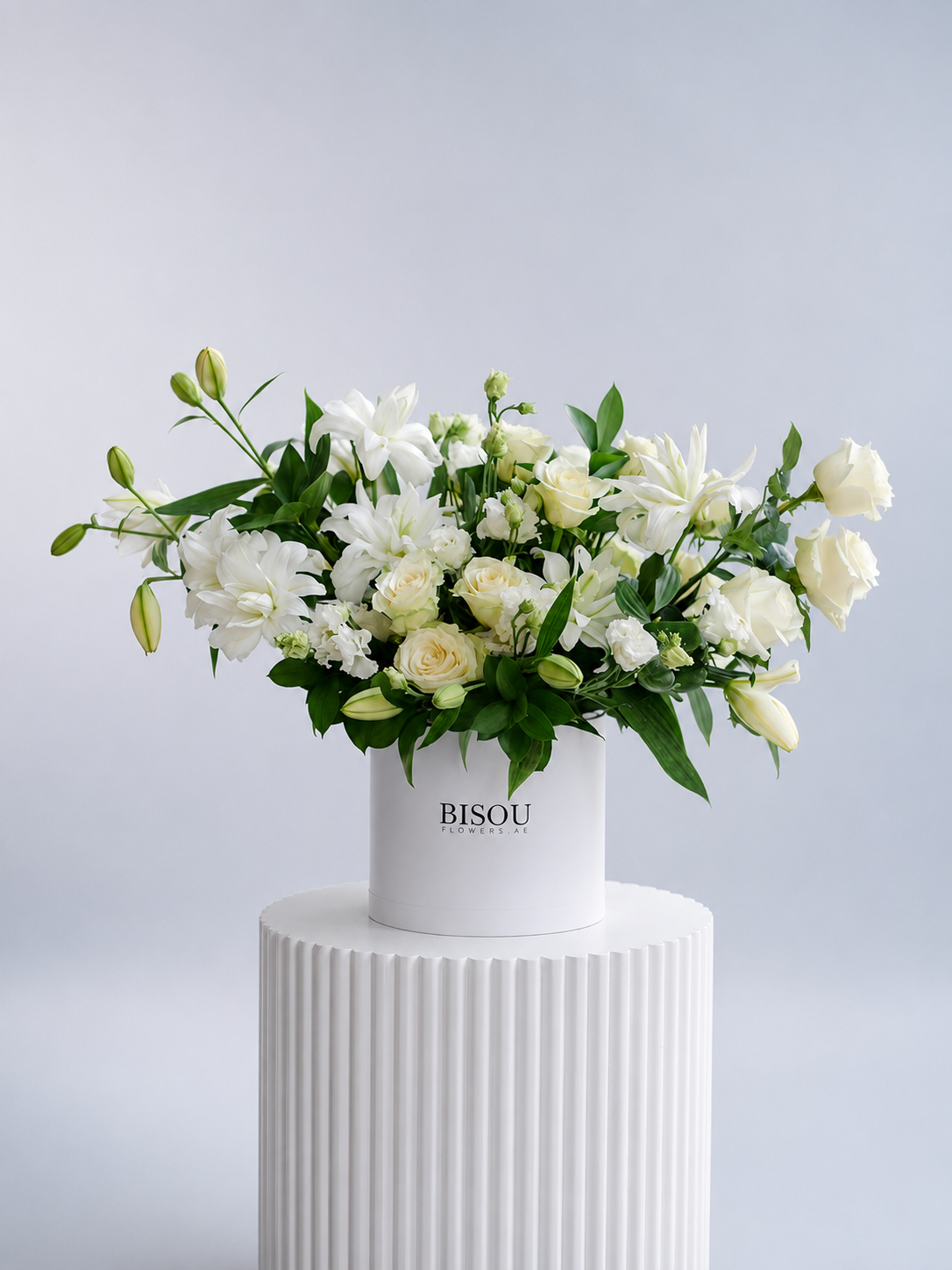 Pure White Elegance