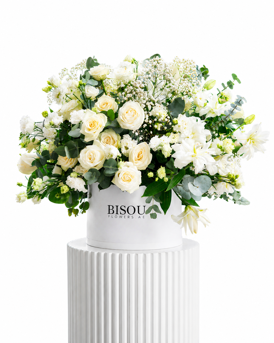 Pure White Elegance