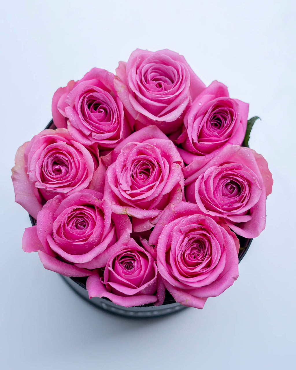 Amore 9 pink roses