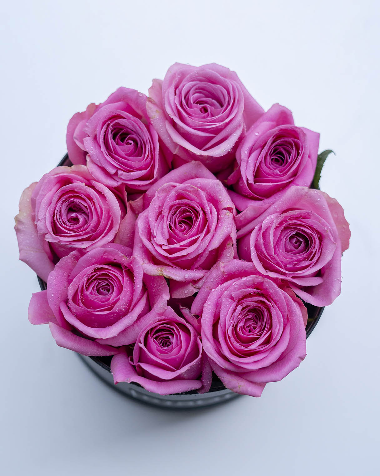 Amore 9 pink roses