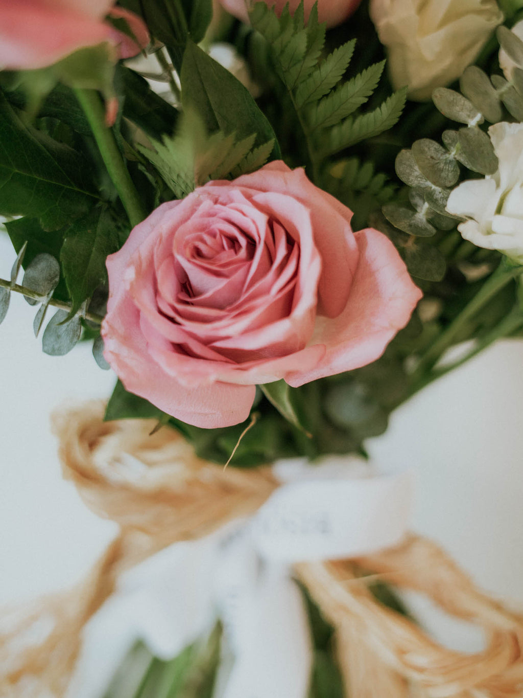 Lisianthes Dreamscape