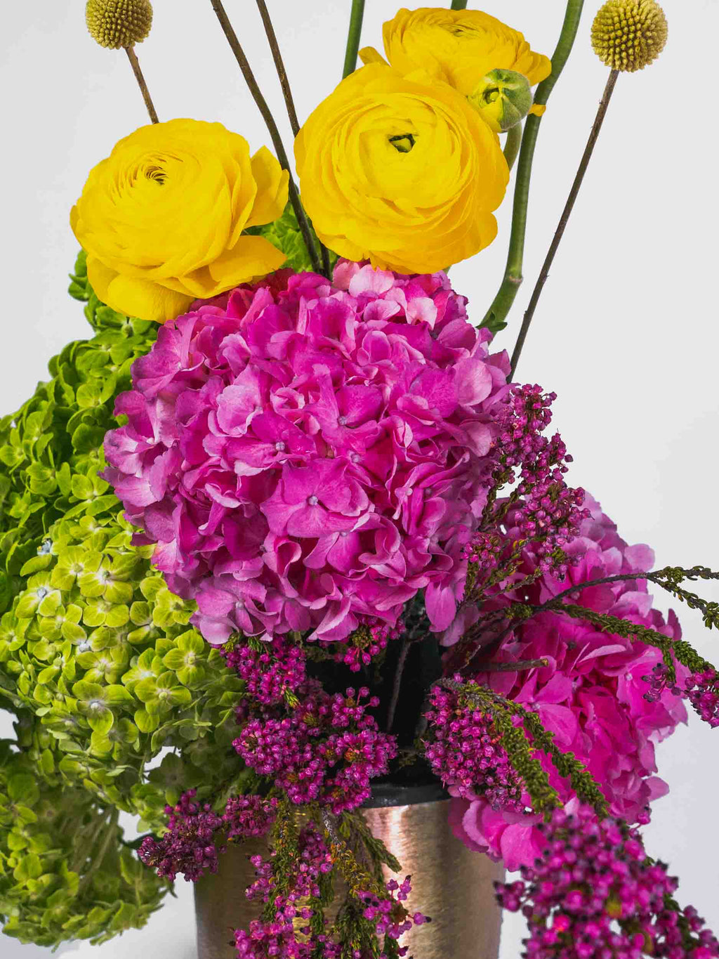 Captivating Elegance