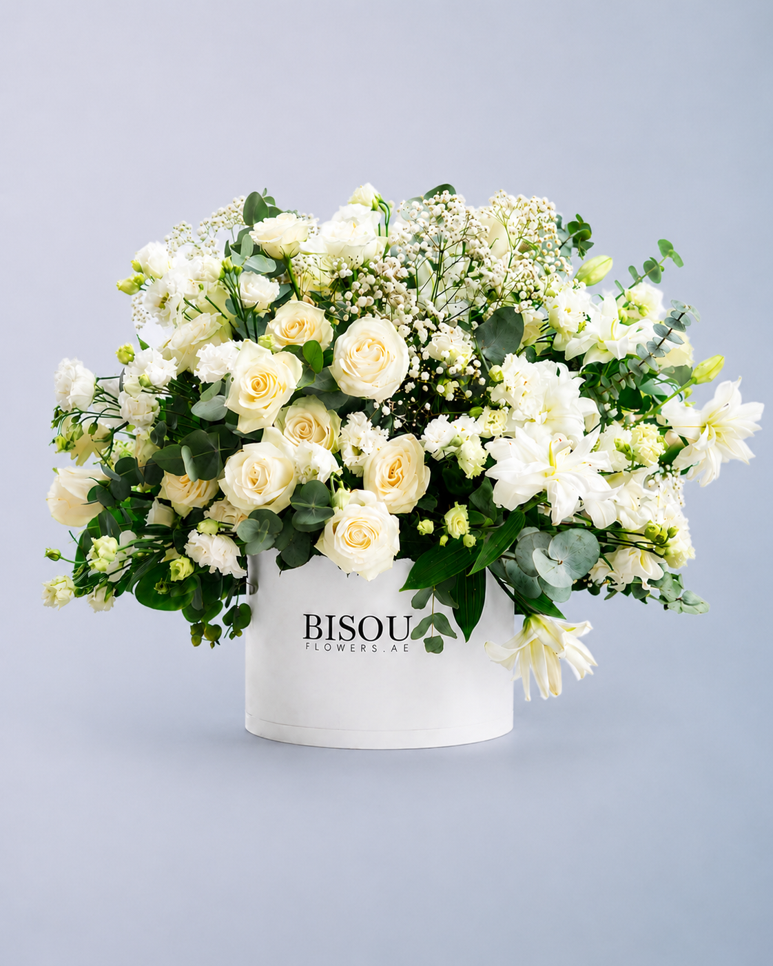 Pure White Elegance