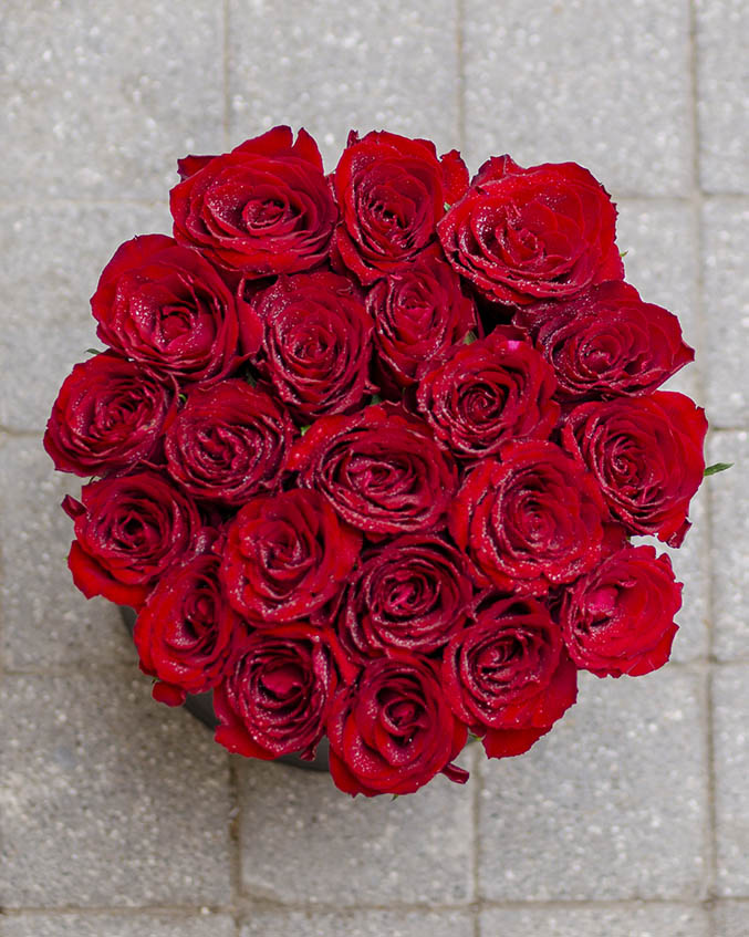 21 red roses