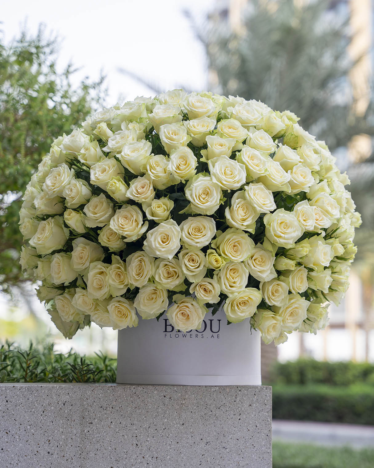 Amore XXL roses arranged in a drum box