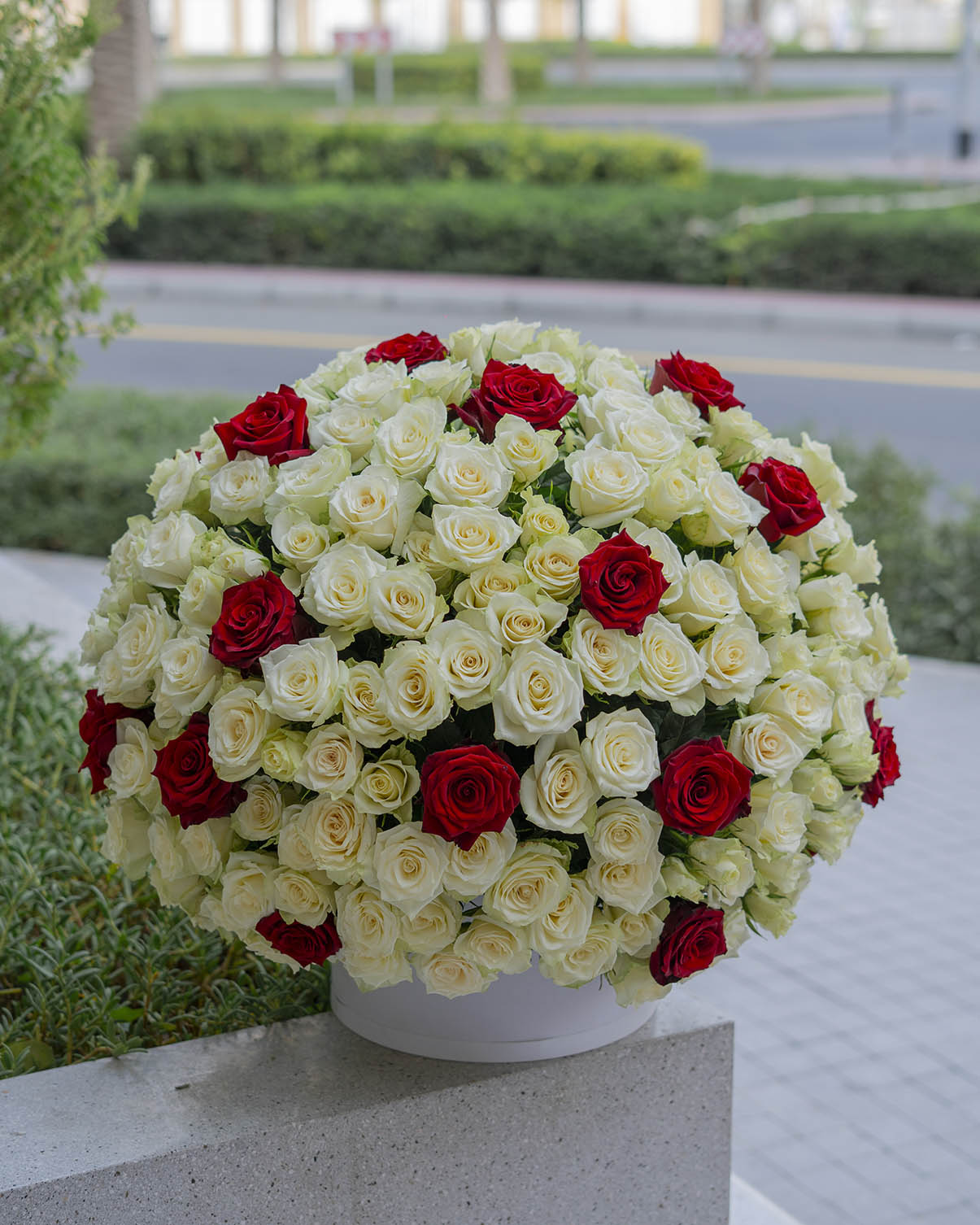 Amore red-white roses arrangement