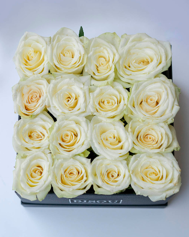 16 white roses box