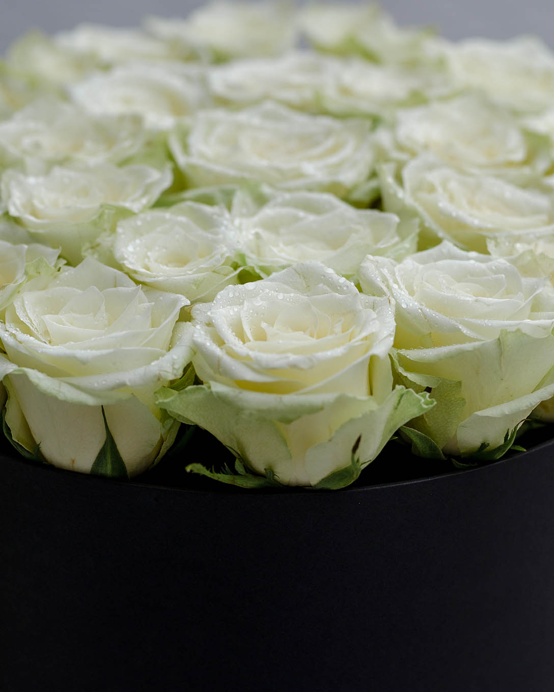 Rough white roses arranged in a drum box