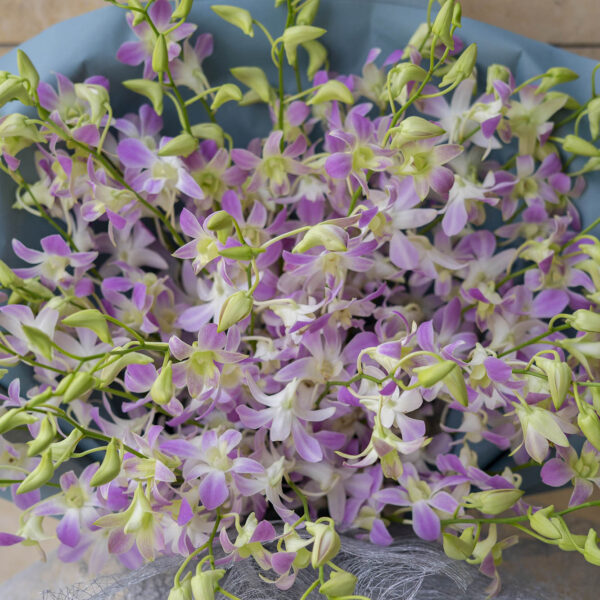 flower bouquet orchid