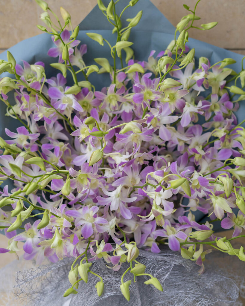 flower bouquet orchid