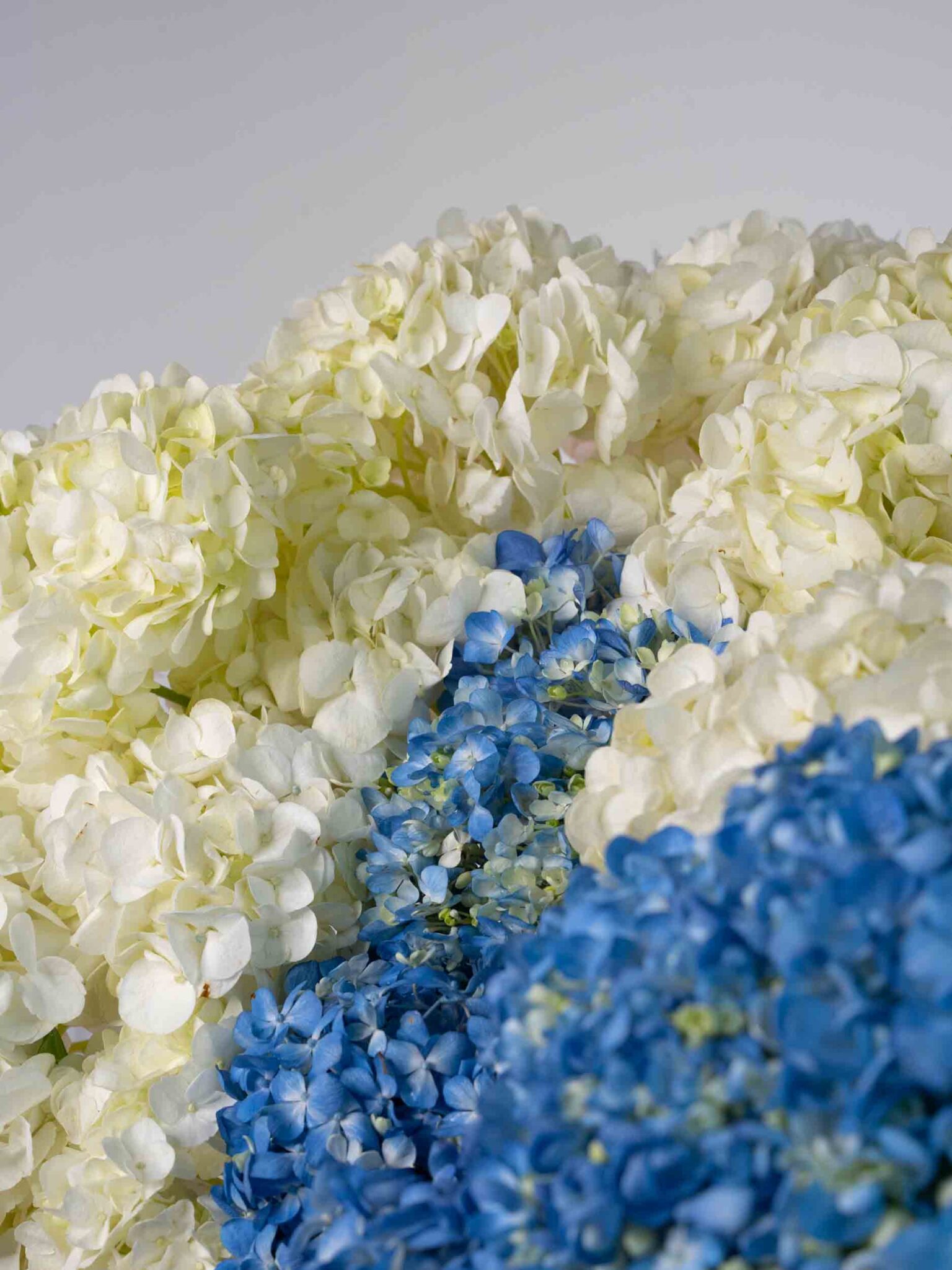 radiant-bliss-flower-bouquet-delivery-in-dubai